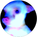 Jim G profile picture